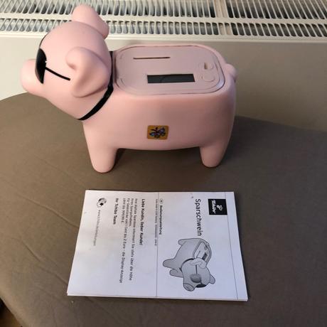 Chrochtajici pri vhozeni eura prasatko - kasicka, 