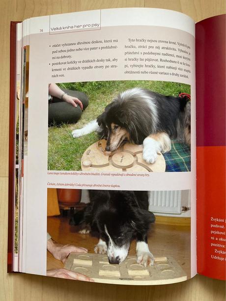 Velká kniha her pro psy - christina sondermann, 