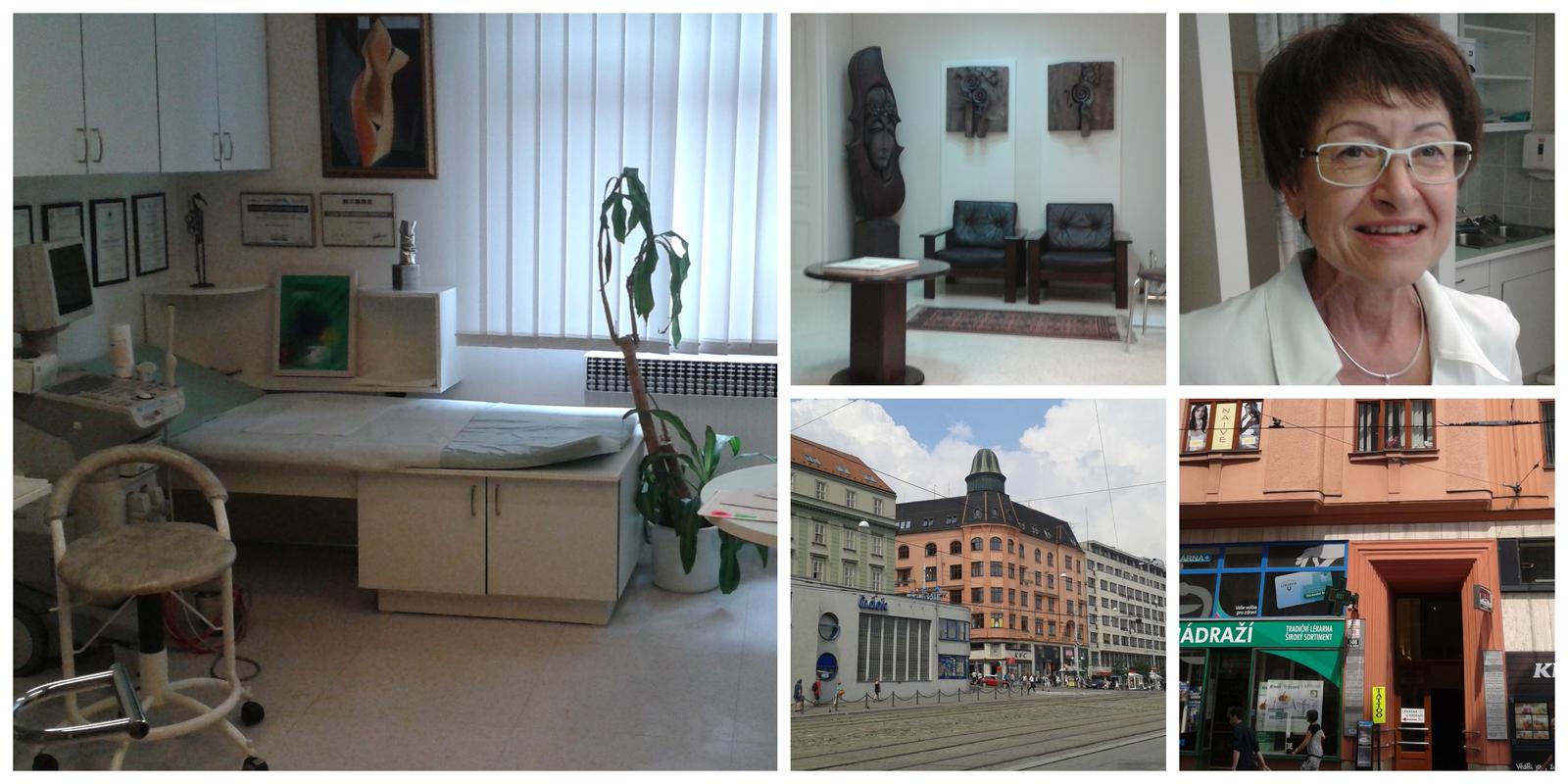 MUDr. Petrovská Hana MUDr. Petrovská Hana