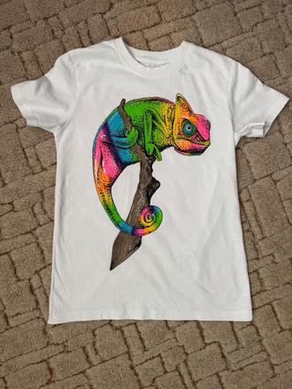 Tričko - chameleon, next,140