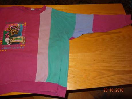 Dámská i dívčí mikina, pleas,152