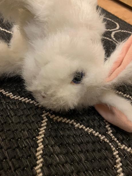 Sada plyšových domácich zvířátek,