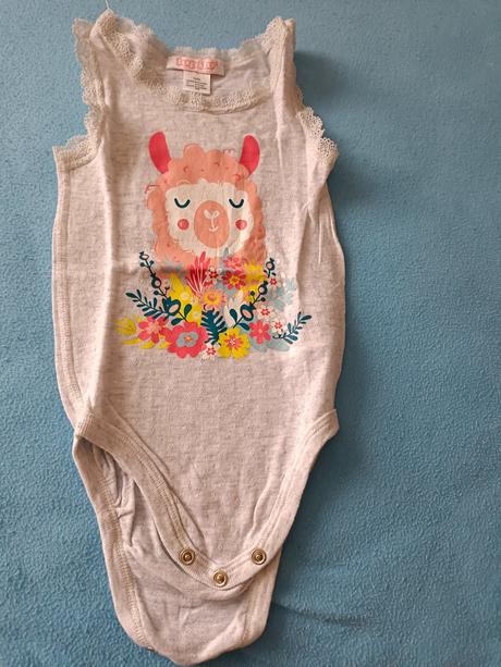 Letní body, lupilu,74