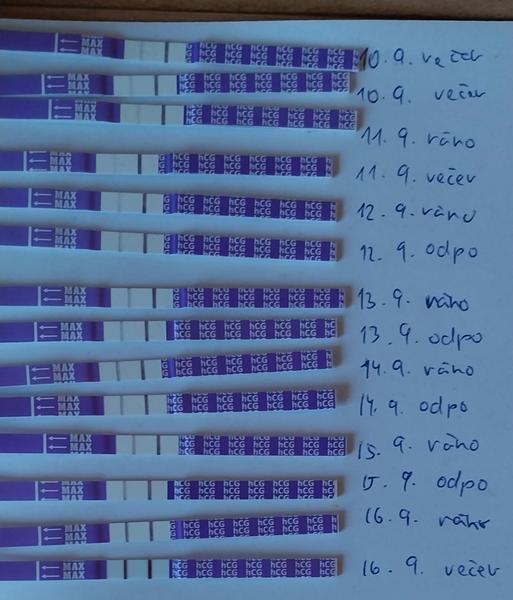 Jak určit možný termín otěhotnění v komplikované situaci?