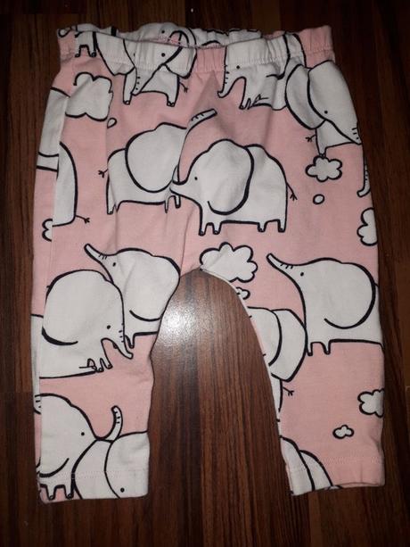 Leginy se slony 68 next, next,68