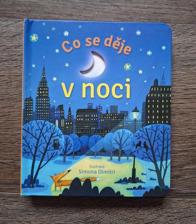 Co se děje v noci - knížka pro děti, svojtka, 