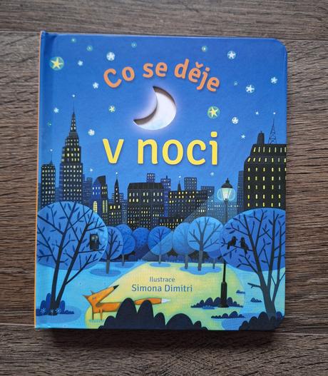 Co se děje v noci - knížka pro děti, svojtka, 