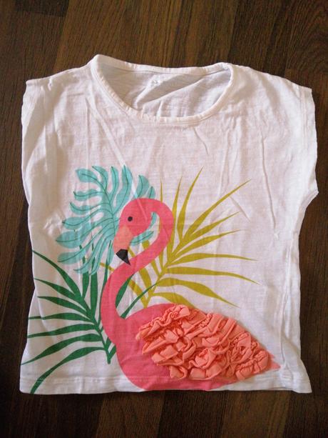 Tričko s plamenakem, 104