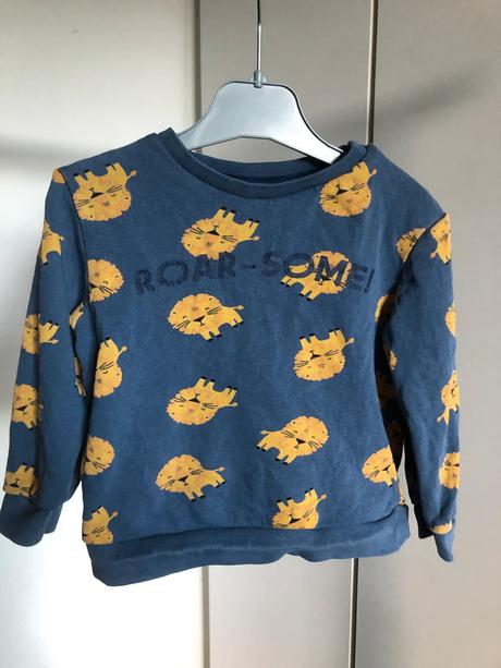 Modrá mikina s lvíčky, 80