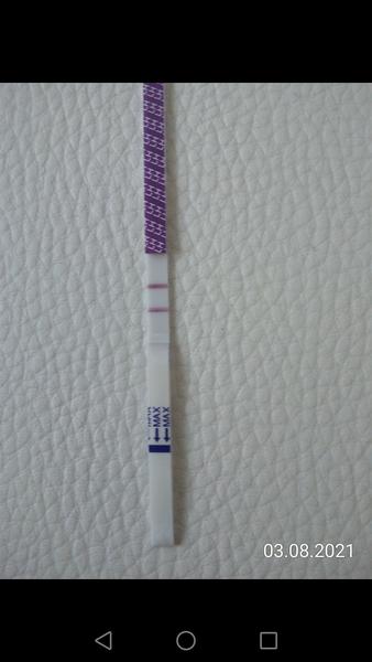 Ovulační test. Je pozitivní?