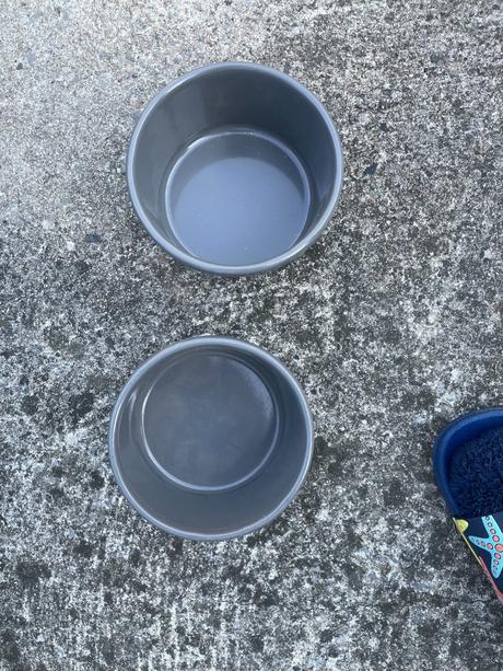 Stojan bidlo pro papouška velkého žako ara,