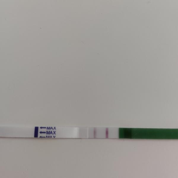 Je můj ovulační test pozitivní?