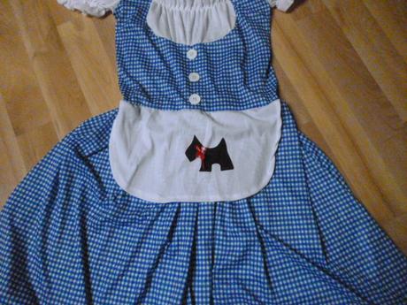 Karneval dospělý šaty vel.s,