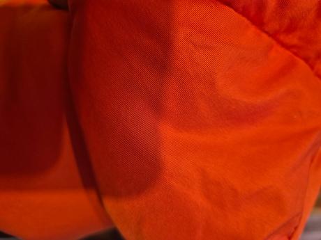 Zimni bunda crivit 146/152, crivit,146