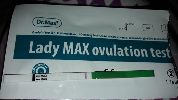 V jakou denní dobu dělat ovu test?