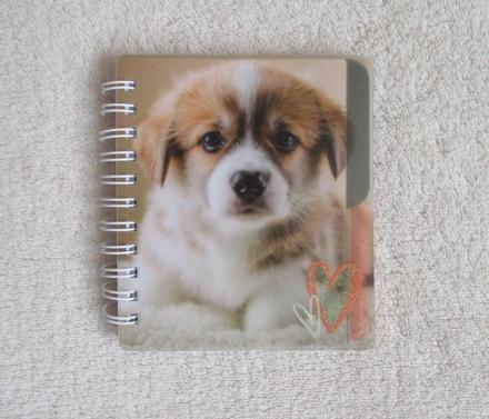 Zápisník s pejskem,