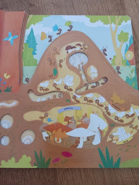 Kniha co se děje v mraveništi., 