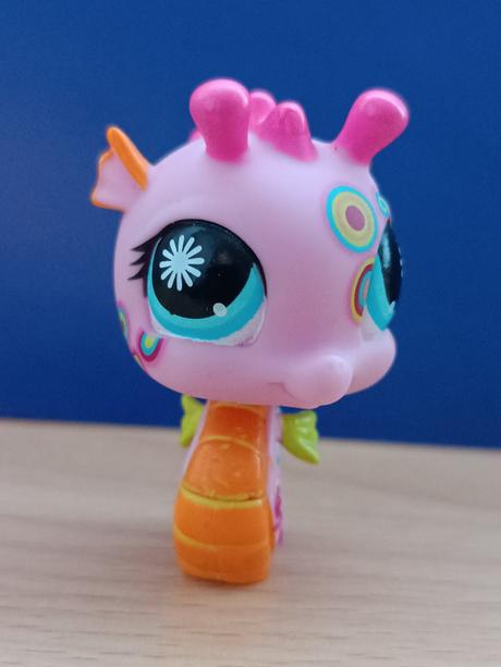 Lps mořský koník zdobený, 