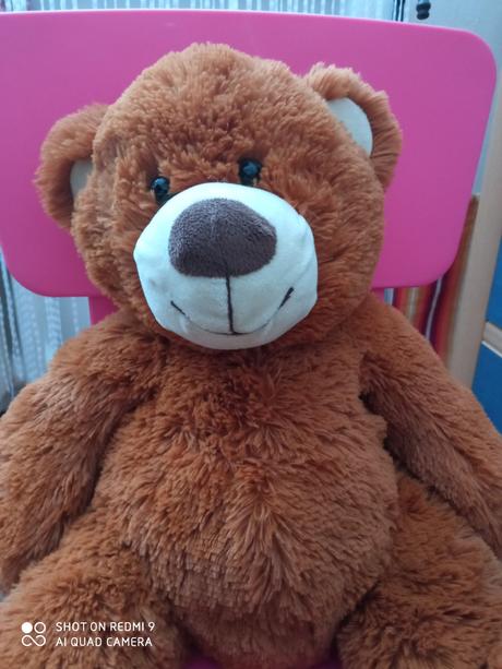 Plyšový medvídek., 