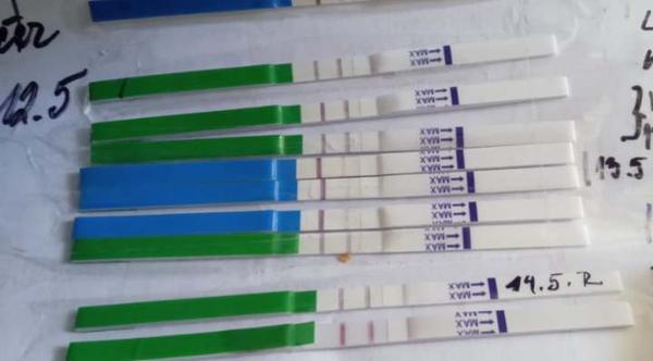 Nečekaná ovulace bez menstruace. Jaké jsou příčiny?