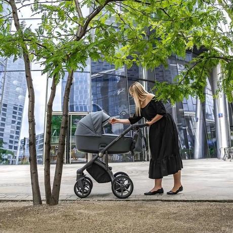 Roan bass next misty mood, roan,roan bass next