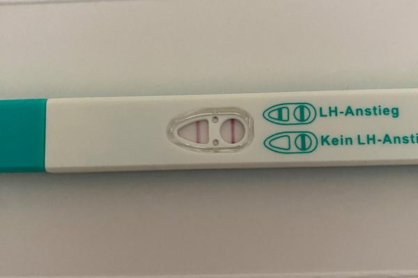 Jak poznat pozitivní ovulační test?