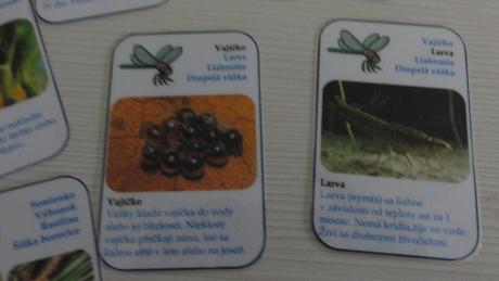 Montessori naučné kartičky, 