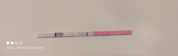 Zkušenosti s Livsane testy. Mohou být výsledky přesné?