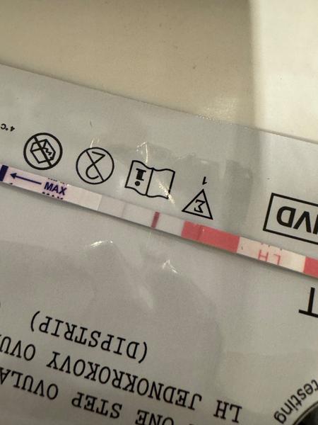 Pozitivní ovulační test nebo ovulace teprve přijde?