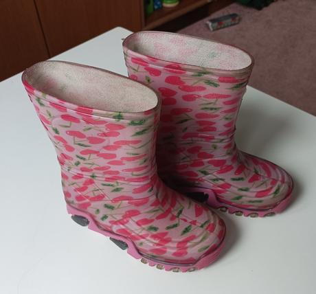 Holínky srdce, demar,26