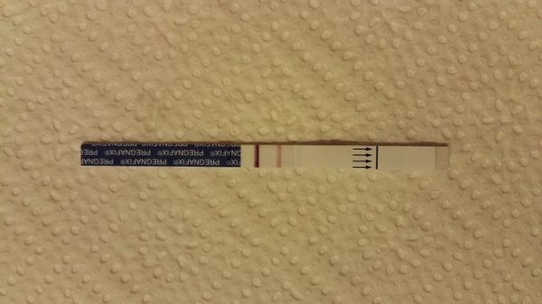 Holky, co myslíte, bude z toho něco?