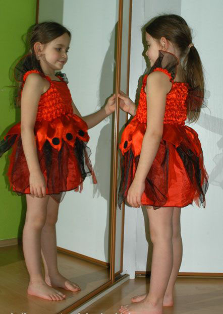 Karnevalové šaty beruška,