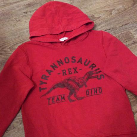 Mikina s dinosaurem zn. h&m, h&m,110