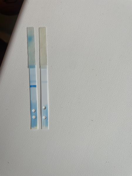 Může být Clearblue test falešně negativní?