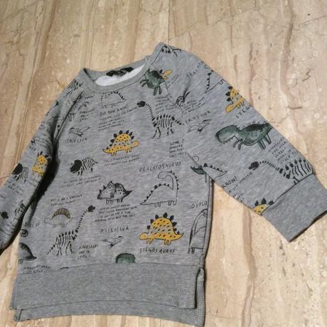 Mikina s dinosaury zn. george, george,92