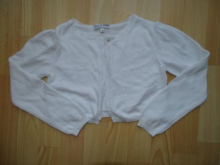 Bolerko, palomino,122