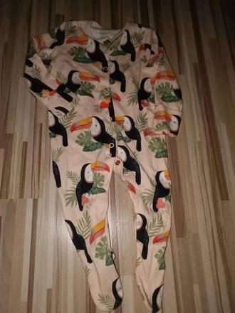 Overal a ptáky 68 tu, tu,68