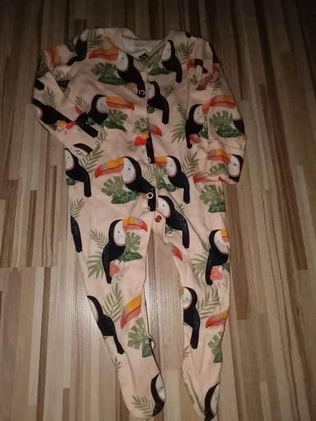 Overal a ptáky 68 tu, tu,68