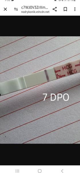 Sílení těhotenského ducha nebo pouze testovací ryska?