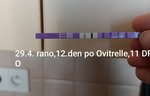 Těhotenský test 12 dní po Ovitrelle. Je to ještě injekcí?