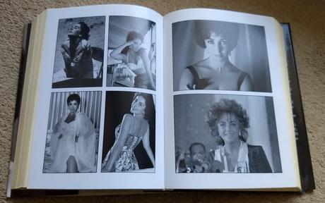 Kniha - elizabeth taylorová nebezpečný život, 