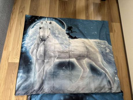 Povlečení s koněm, 