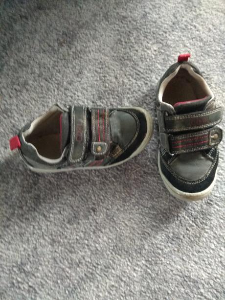 Tenisky 27 coccodrillo, coccodrillo,27