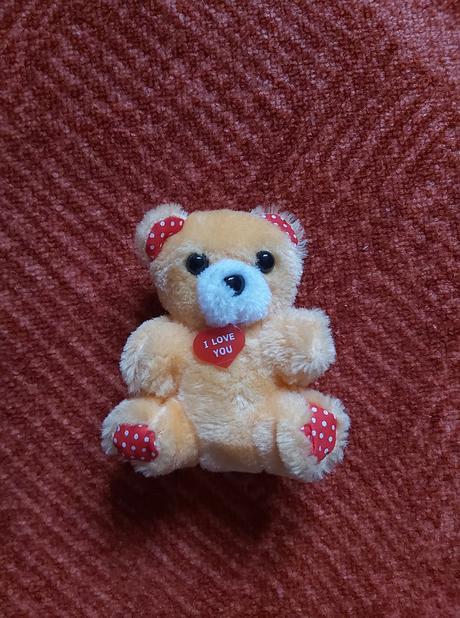 Medvídek i love you, 