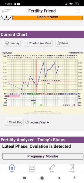 Nadějný graf bt. Myslíte, že se mohlo zadařit?