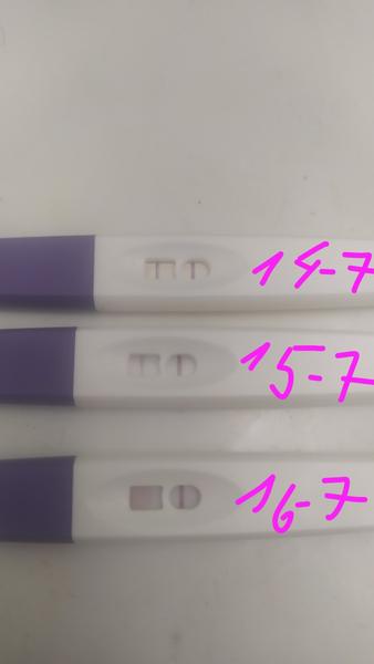 Ovu test. Proběhla ovulace?