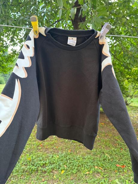 Mikča, champion,158