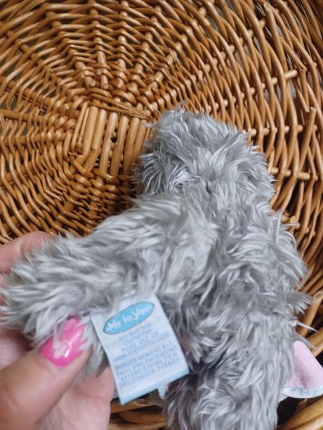 2krát plyšový medvídek me to you, 