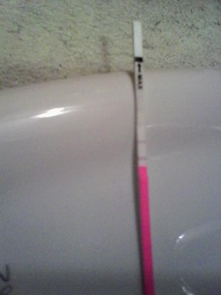 7. den po Ket a ovulační test pozitivní, co myslíte?