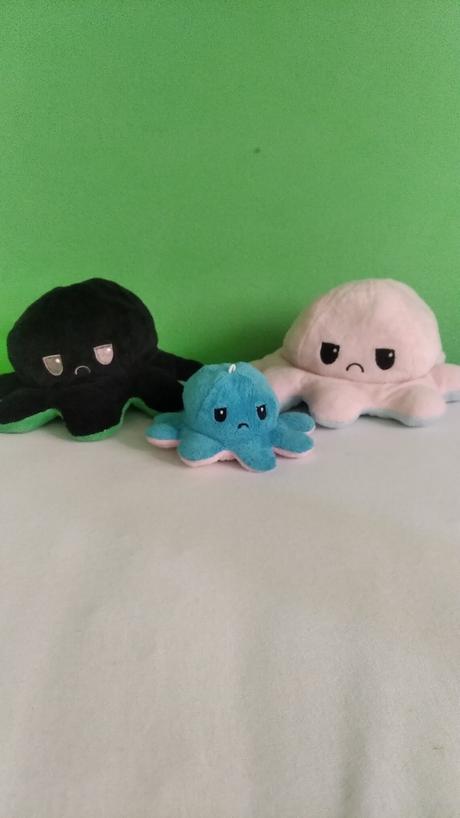 Plyšák chobotnička, 